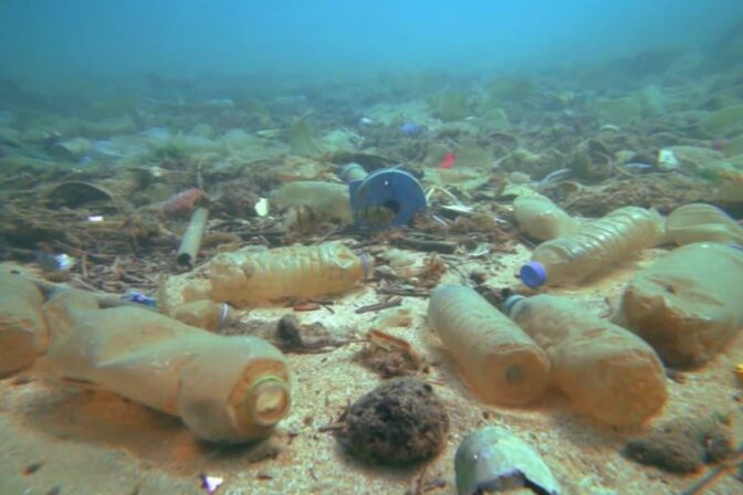 Plastikleri düşük sıcaklıklarda sindirebilen mikroplar keşfedildi