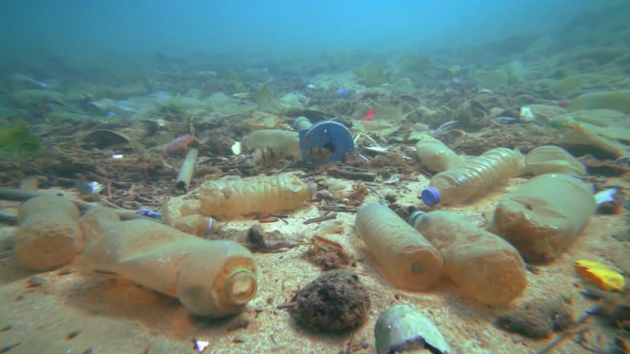 Plastikleri düşük sıcaklıklarda sindirebilen mikroplar keşfedildi